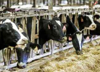 USDA Mandates Testing of Raw Milk for Avian Influenza usda-mandates-testing-of-raw-milk-for-avian-nfluenza