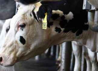 Warning Signs of Bird Flu: Concerning Trends and Red Flags to Watch For warning-signs-of-bird-flu-concerning-trends-and-red-flags-to-watch-for