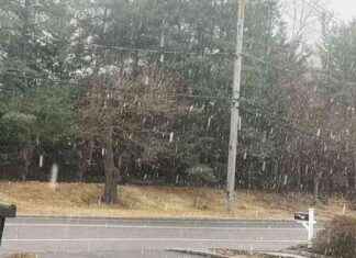 Weekend Snowfall Forecast for Tri-State Region: Flakes Expected Before Frigid Weather weekend-snowfall-forecast-for-tri-state-region-flakes-expected-before-frigid-weather