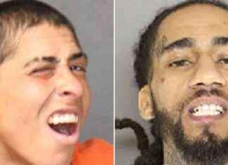 Weekly Mugshot Roundup: Dec. 8-14, 2024 weekly-mugshot-roundup-dec-8-14-2024