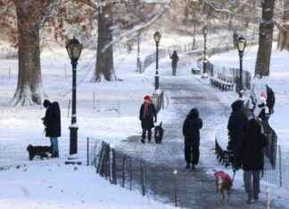 White Christmas Forecast: Areas with Expected Snow and Ice white-christmas-forecast-areas-with-expected-snow-and-ce