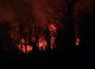 Wind-driven brushfire at Baltimore wood recycling yard causes closures and evacuations – WSVN 7News wind-driven-brushfire-at-baltimore-wood-recycling-yard-causes-closures-and-evacuations-wsvn-7news