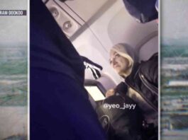 woman-arrested-at-ny-canada-border-after-sneaking-on-ny-paris-flight