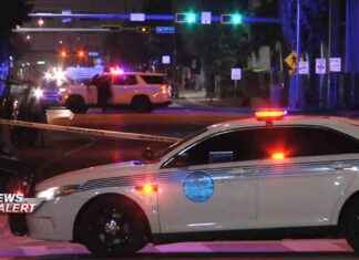 Woman Hospitalized in Miami Hit-and-Run Incident woman-hospitalized-in-miami-hit-and-run-ncident
