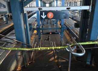 Woman Set on Fire in NYC Subway Finally Identified: Suspect Still at Large woman-set-on-fire-in-nyc-subway-finally-dentified-suspect-still-at-large