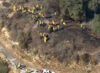 Arson Suspect Arrested for Griffith Park Brush Fire arson-suspect-arrested-for-griffith-park-brush-fire