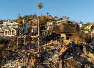 Assessing Los Angeles Fire Damage: Trump’s Visit and Response Review assessing-los-angeles-fire-damage-trumps-visit-and-response-review