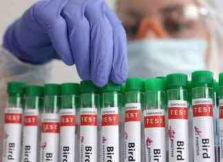 Avian Influenza Suspected in Plymouth Bird Deaths: Massachusetts Officials avian-nfluenza-suspected-in-plymouth-bird-deaths-massachusetts-officials