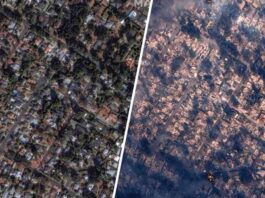 california-wildfire-devastation-before-and-after-satellite-mages-show-shocking-damage