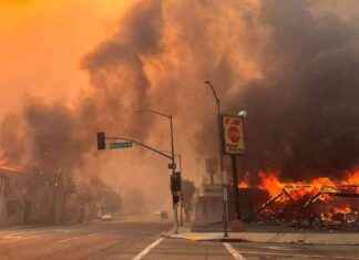 California Wildfires: Impact and Recovery Timeline california-wildfires-mpact-and-recovery-timeline