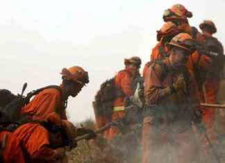 Critics Slam California Prisoner Firefighter Program Amid L.A. Wildfires critics-slam-california-prisoner-firefighter-program-amid-la-wildfires