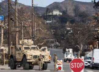 Damage Report: $350M in Losses from Fires and Windstorms in L.A. damage-report-350m-in-losses-from-fires-and-windstorms-in-la