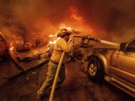 deadly-wildfires-ravage-los-angeles-area-at-least-5-dead