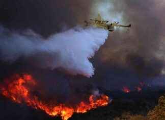 Fake Firefighter Scam at Palisades Fire Exposed By Police: Shocking Details Revealed fake-firefighter-scam-at-palisades-fire-exposed-by-police-shocking-details-revealed