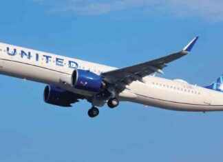 Flight Returns to Chicago After Hitting Coyote: United Airlines Incident Revisited flight-returns-to-chicago-after-hitting-coyote-united-airlines-ncident-revisited