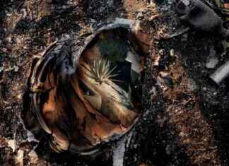 How to Restore Family Photos After a Fire: Tips and Techniques how-to-restore-family-photos-after-a-fire-tips-and-techniques