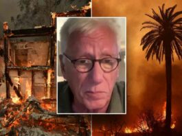 james-woods-reflects-on-palisades-fire-chaos-thanks-good-neighbors-for-help