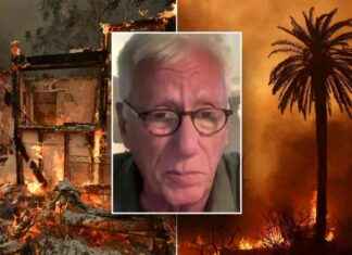 James Woods Reflects on Palisades Fire Chaos, Thanks ‘Good’ Neighbors for Help james-woods-reflects-on-palisades-fire-chaos-thanks-good-neighbors-for-help
