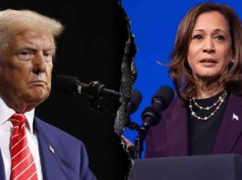 kamala-harris-declares-trumps-victory-jesse-watters-analysis