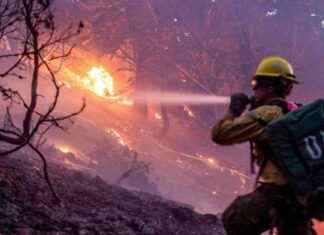 Key Phone Numbers for Los Angeles Residents: Get Help Easily key-phone-numbers-for-los-angeles-residents-get-help-easily