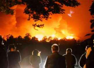 Los Angeles Wildfires: Private Security Hindered by City’s Red Tape los-angeles-wildfires-private-security-hindered-by-citys-red-tape