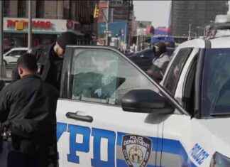 Man Arrested for Random Sidewalk Slaying of 14-Year-Old Boy in the Bronx man-arrested-for-random-sidewalk-slaying-of-14-year-old-boy-in-the-bronx