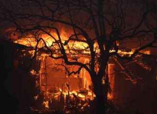 Improving Brush Clearance to Prevent Wildfires: A Case Study of the Palisades Fire mproving-brush-clearance-to-prevent-wildfires-a-case-study-of-the-palisades-fire