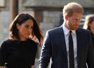 Neighbors in California Town Brand Meghan Markle and Prince Harry as Local Villains neighbors-in-california-town-brand-meghan-markle-and-prince-harry-as-local-villains