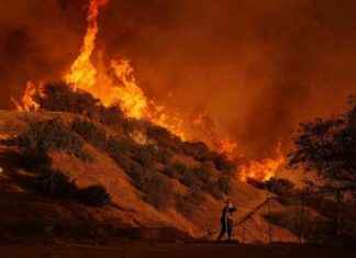Investigation of Utility Companies’ Links to Los Angeles Wildfires nvestigation-of-utility-companies-links-to-los-angeles-wildfires