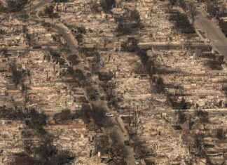 Palisades Debris Removal Registration Guide palisades-debris-removal-registration-guide