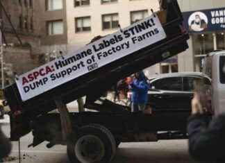 PETA Activists Arrested for Attempted Manure Dumping Outside Rival’s Office peta-activists-arrested-for-attempted-manure-dumping-outside-rivals-office