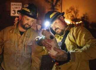 Private Firefighters: Battling Wildfires for the Wealthy private-firefighters-battling-wildfires-for-the-wealthy