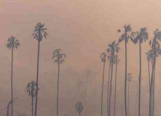 Protect Yourself from L.A. Wildfire Smoke: Helpful Tips for Safety protect-yourself-from-la-wildfire-smoke-helpful-tips-for-safety