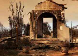 Protecting Residents and Pets: L.A. City Council Bans Evictions During Fire Emergency protecting-residents-and-pets-la-city-council-bans-evictions-during-fire-emergency