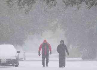 Rare Snowstorm Hits Houston, New Orleans, and Florida: What You Need to Know rare-snowstorm-hits-houston-new-orleans-and-florida-what-you-need-to-know