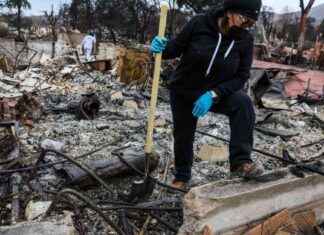 Rebuilding After Disaster: Preserving Legacies Amid Uncertainty rebuilding-after-disaster-preserving-legacies-amid-uncertainty