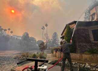 Rescuing the Self-Realization Fellowship Lake Shrine: A Family’s Heroic Story rescuing-the-self-realization-fellowship-lake-shrine-a-familys-heroic-story