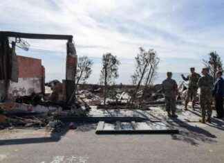 Surveying Damage from Palisades and Eaton Fires: Army Corps of Engineers Prepares for Cleanup surveying-damage-from-palisades-and-eaton-fires-army-corps-of-engineers-prepares-for-cleanup