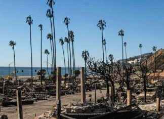 Surveying the Devastation: Trump’s Team Considers Trip to L.A. Wildfire Site surveying-the-devastation-trumps-team-considers-trip-to-la-wildfire-site