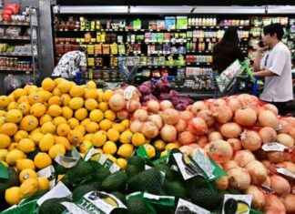 The Economic Impact of Trump’s Mass Deportation Plan on Prices the-economic-mpact-of-trumps-mass-deportation-plan-on-prices