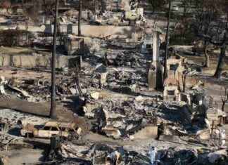 The Rising Cost of Fire Damage: Exceeding $250 Billion the-rising-cost-of-fire-damage-exceeding-250-billion