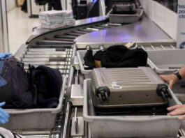 top-10-bizarre-tsa-confiscations-of-2024-snakes-in-pants-to-meth-in-crutches