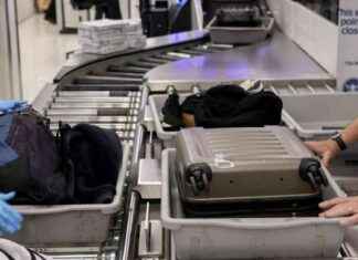 Top 10 Bizarre TSA Confiscations of 2024: Snakes in Pants to Meth in Crutches top-10-bizarre-tsa-confiscations-of-2024-snakes-in-pants-to-meth-in-crutches