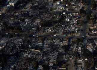 Trump’s Visit to LA Wildfire Zones Sparks Debate on Aid Distribution trumps-visit-to-la-wildfire-zones-sparks-debate-on-aid-distribution