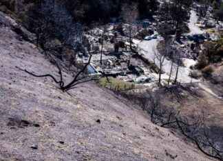 Uncovering the Cause of the Palisades Fire: A Deep Dive uncovering-the-cause-of-the-palisades-fire-a-deep-dive