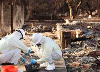 Uncovering the Impact: Residents Seek Answers on L.A. Wildfires uncovering-the-mpact-residents-seek-answers-on-la-wildfires