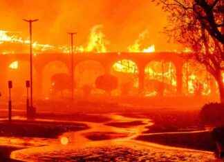 Understanding the Fatalities: Update on Palisades and Eaton Fires with 24 Deaths understanding-the-fatalities-update-on-palisades-and-eaton-fires-with-24-deaths