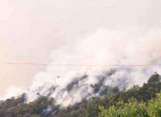 Update: Death toll rises to 16 in ongoing battle against Los Angeles fires update-death-toll-rises-to-16-in-ongoing-battle-against-los-angeles-fires