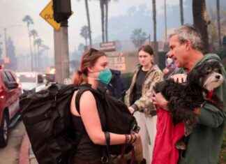 Veterinarian Rescues Pets During Palisades Fire, Now Caring for 40 More veterinarian-rescues-pets-during-palisades-fire-now-caring-for-40-more