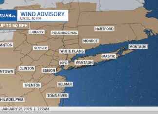 Wind Advisory Issued for NYC Metro Area Ahead of Cold and Rain wind-advisory-ssued-for-nyc-metro-area-ahead-of-cold-and-rain
